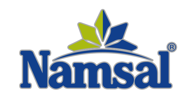 Namsal Logo